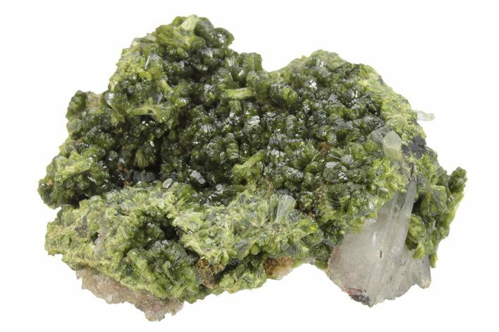 Lustrous Epidote with Quartz Crystals - Morocco #224813